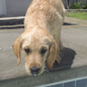 Meet your Posher, Mindy